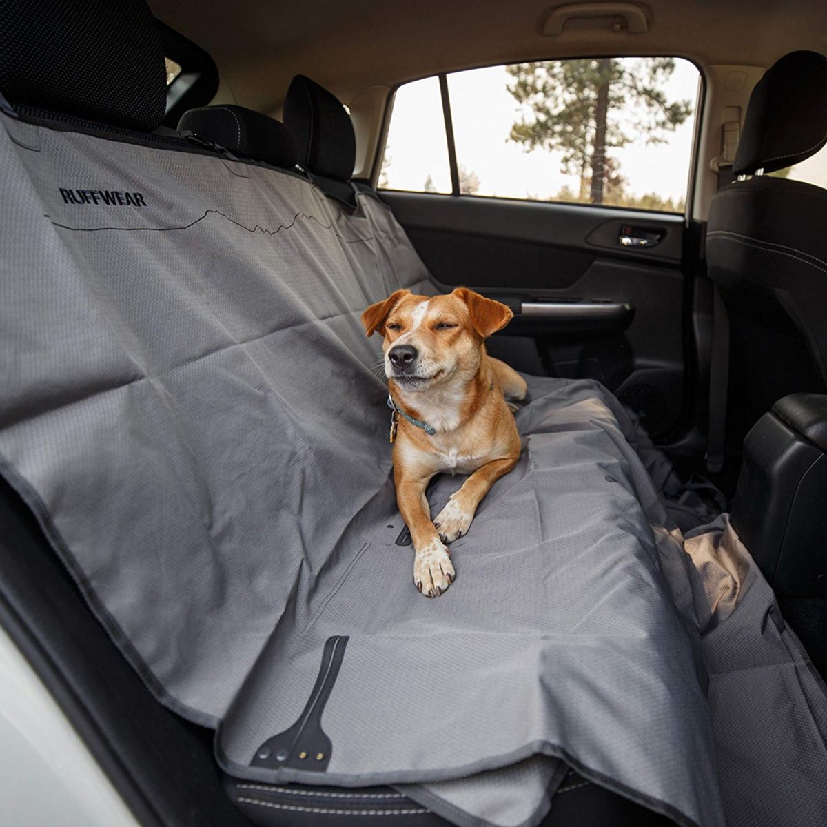 Best Car Seat Covers For Pets All About Cars News Gadgets Tips - Dog Cover Seats For Cars