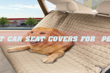 Best Car Seat cOvers for Pets