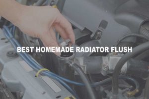 Best Homemade Radiator Flush