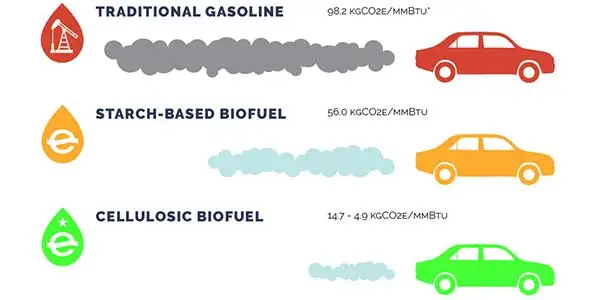 Can You Drive Without a Catalytic Converter - Complete Guidance 